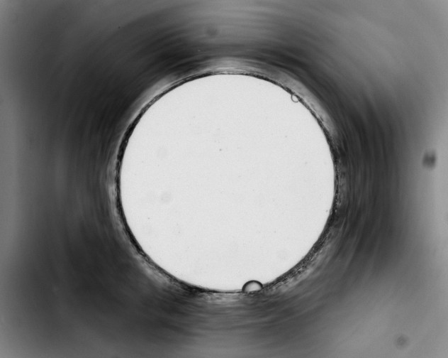 X0000103440853200810241120