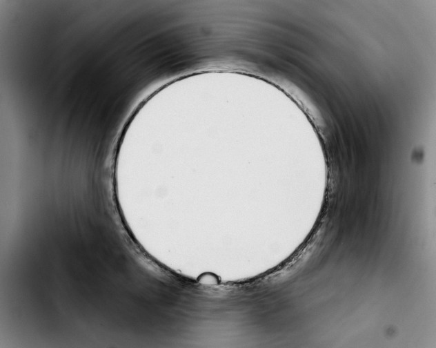 X0000103440854200810241120