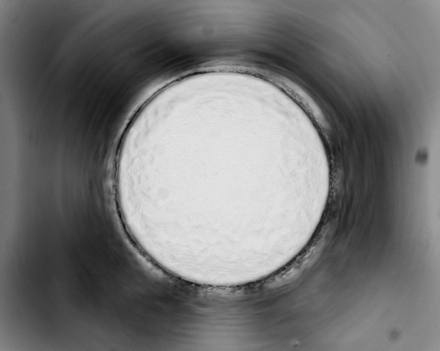 X0000103440855200810241120