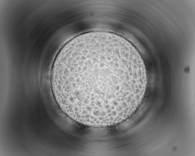 X0000103440856200810241120