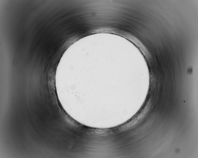 X0000103440857200810241120