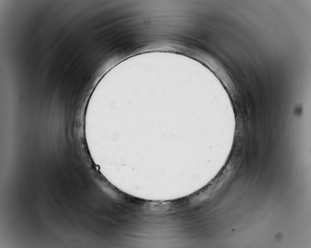 X0000103440858200810241120