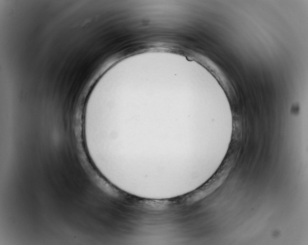 X0000103440859200810241120