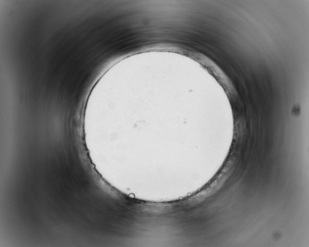 X0000103440860200810241120