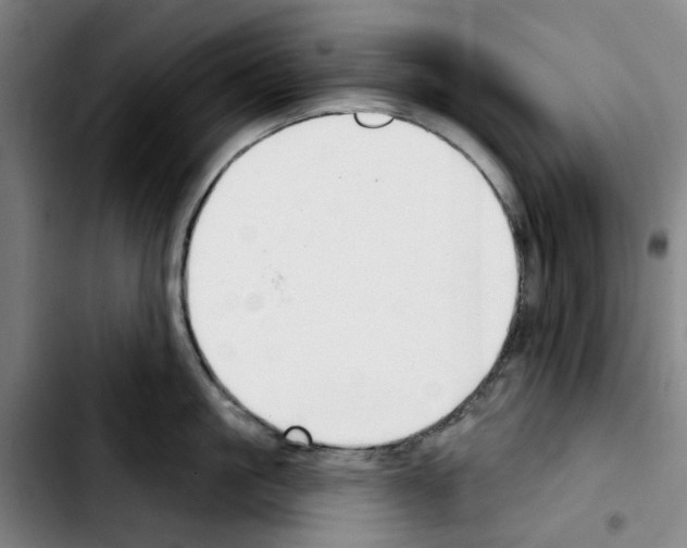 X0000103440861200810241120