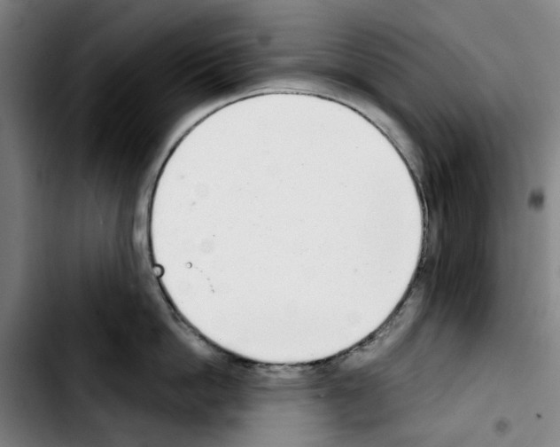 X0000103440862200810241120