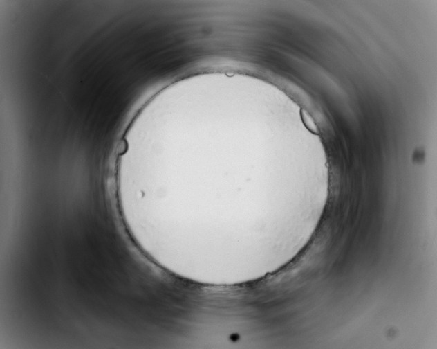 X0000103440863200810241120