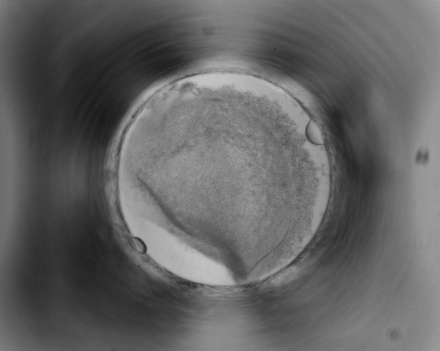 X0000103440864200810241120