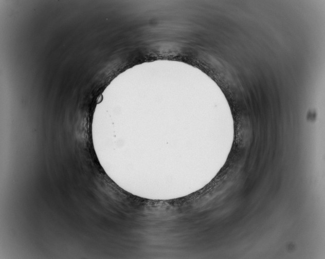 X0000103440866200810241119