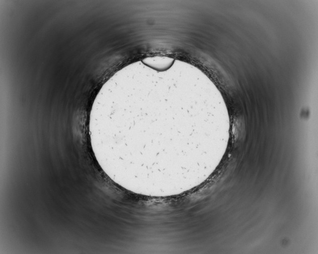 X0000103440867200810241119