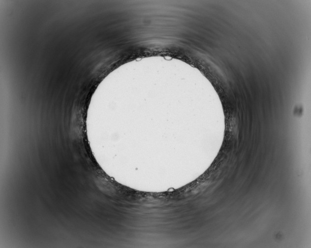X0000103440868200810241119