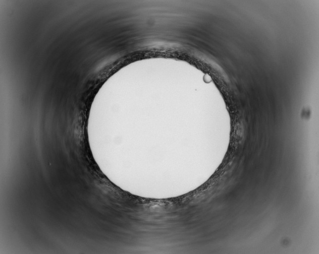 X0000103440869200810241119