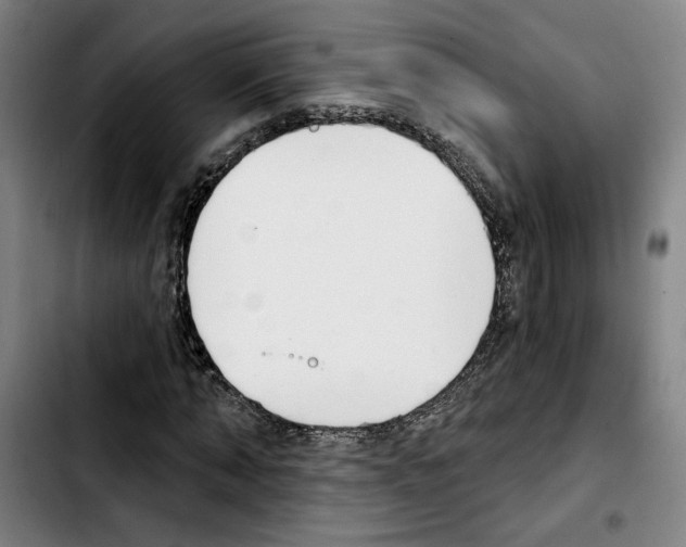X0000103440870200810241119