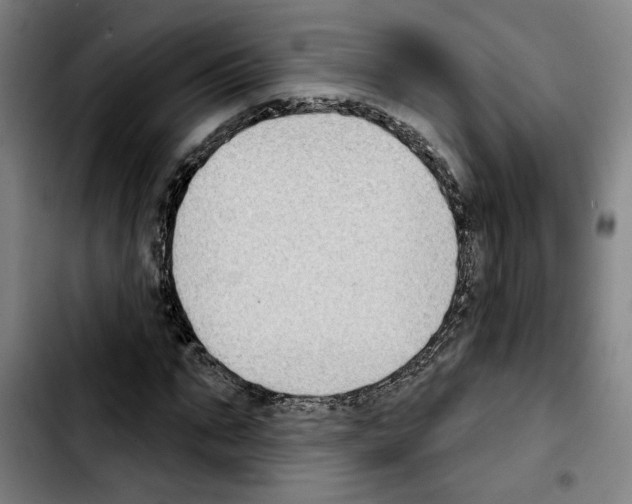 X0000103440871200810241119