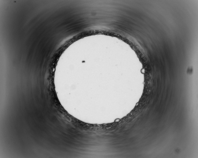 X0000103440872200810241119