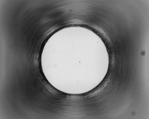 X0000103440873200810241119