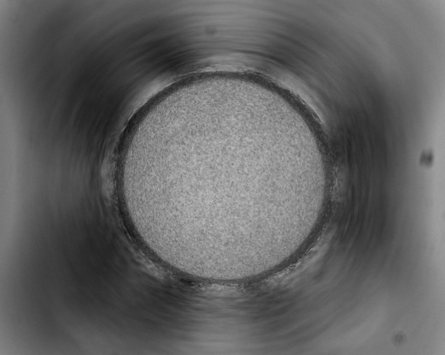 X0000103440874200810241119