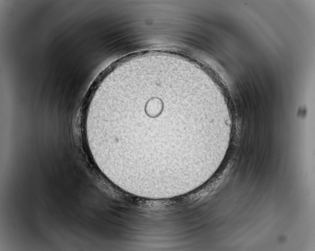 X0000103440875200810241119