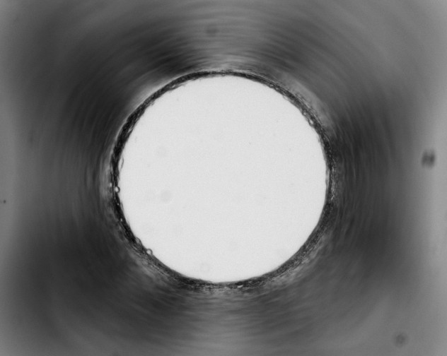 X0000103440876200810241119