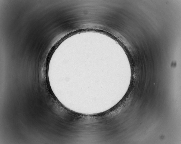 X0000103440877200810241119