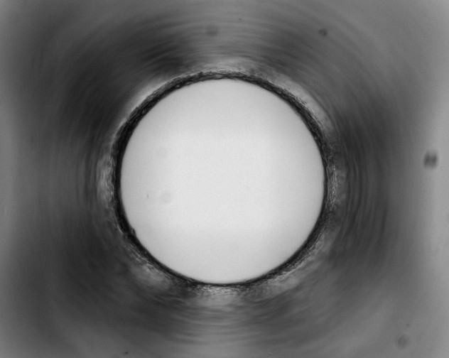 X0000103440878200810241119