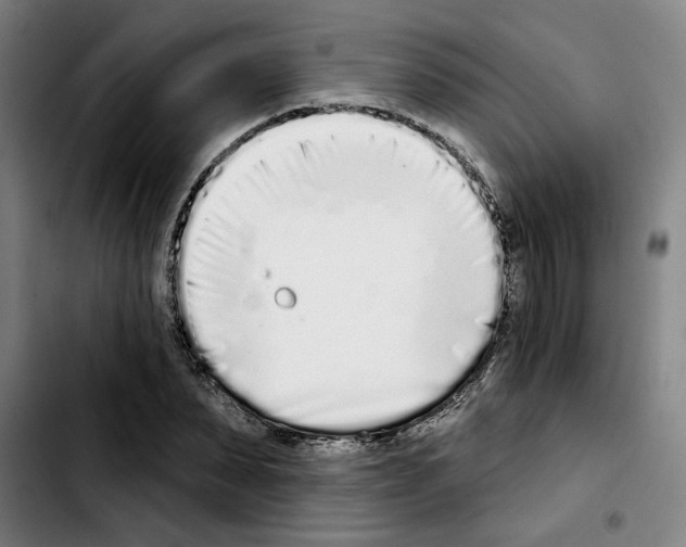 X0000103440879200810241119