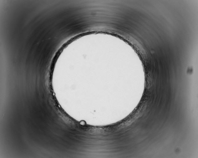 X0000103440880200810241119