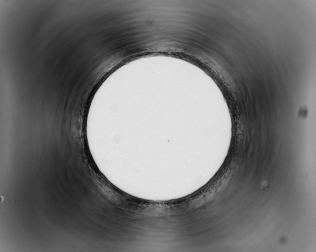 X0000103440881200810241119