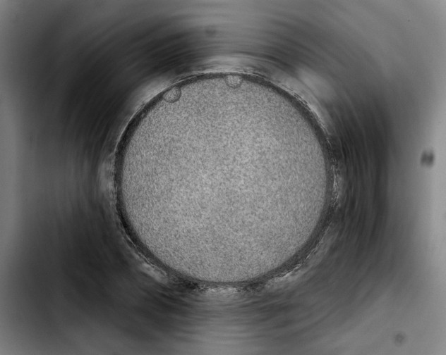 X0000103440882200810241119