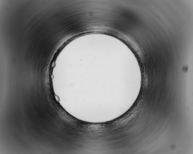 X0000103440883200810241119