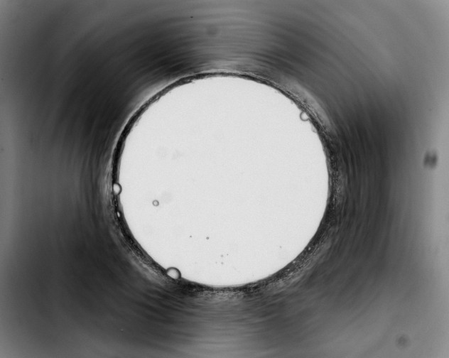 X0000103440884200810241119