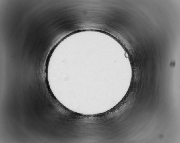 X0000103440885200810241119