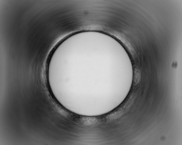 X0000103440886200810241119