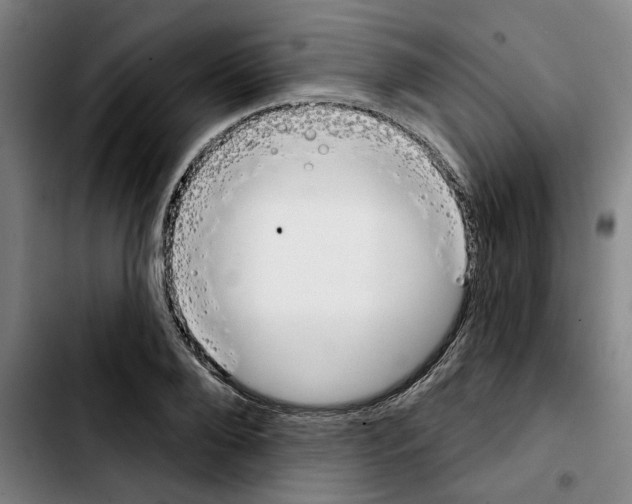 X0000103440888200810241119