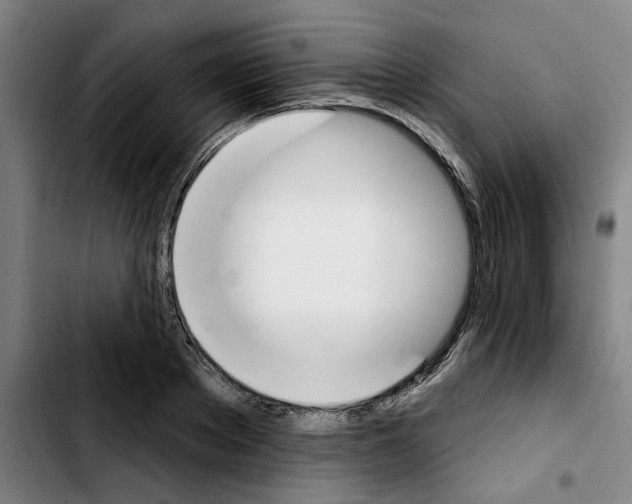 X0000103440889200810241119