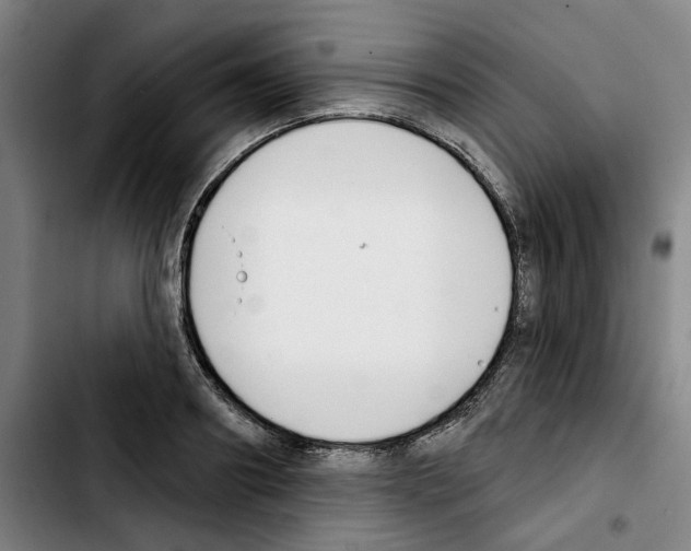 X0000103440890200810241119