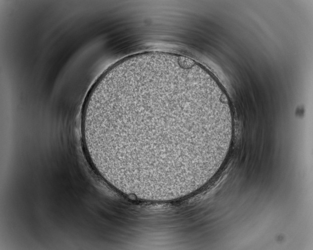 X0000103440891200810241119