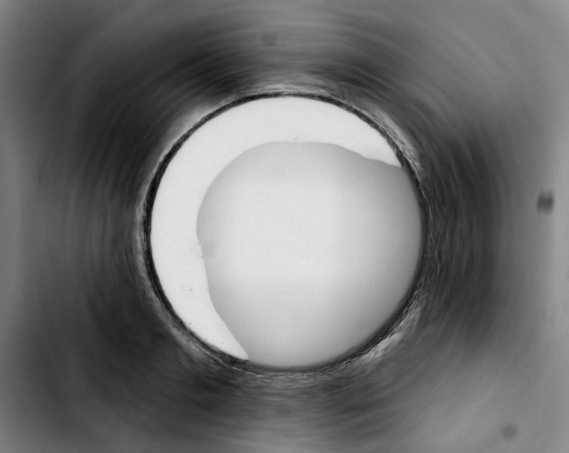 X0000103440893200810241119