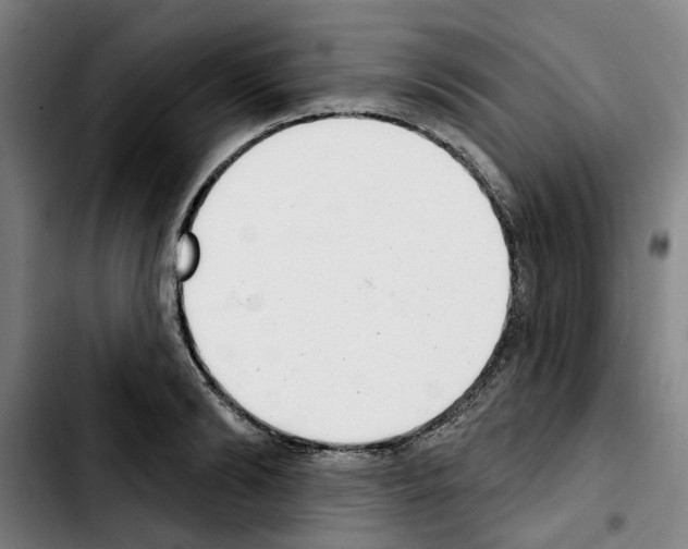 X0000103440894200810241119