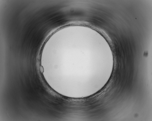 X0000103440895200810241119