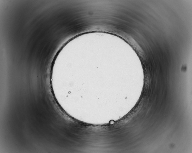 X0000103440896200810241119