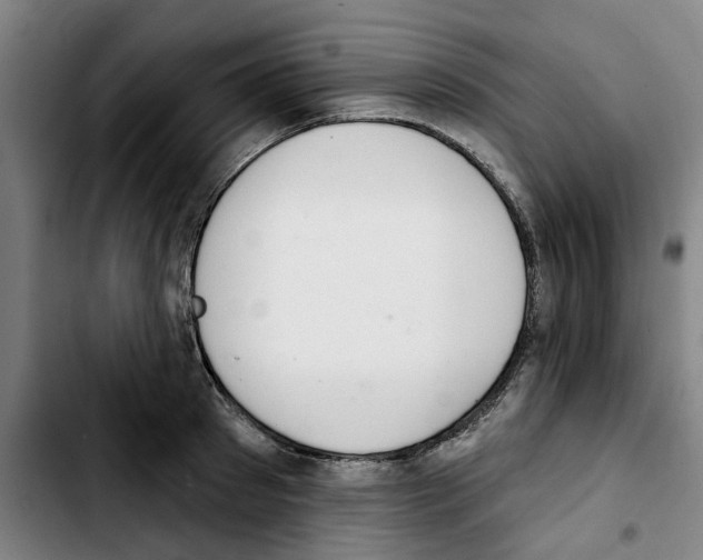 X0000103440897200810241119