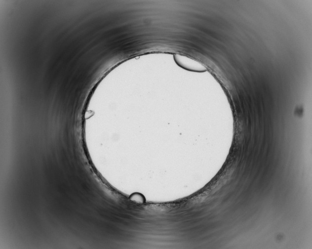 X0000103440898200810241119