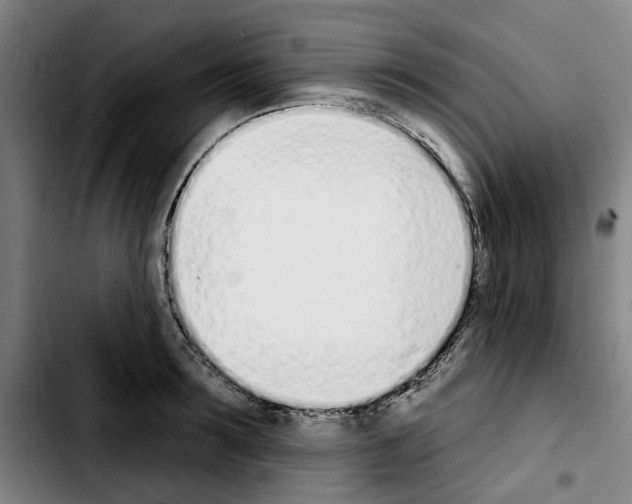 X0000103440899200810241119