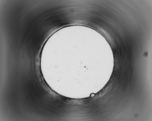 X0000103440900200810241119
