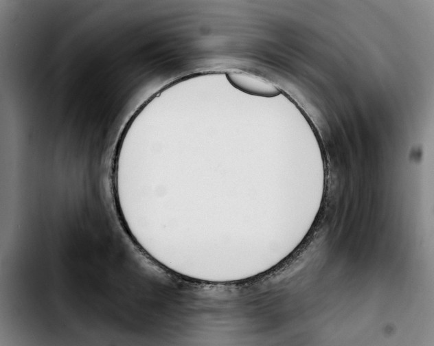 X0000103440901200810241119