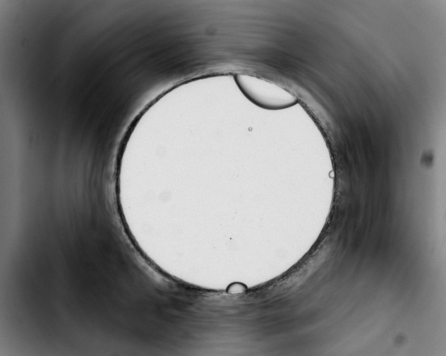 X0000103440902200810241119