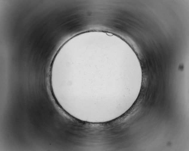 X0000103440903200810241119