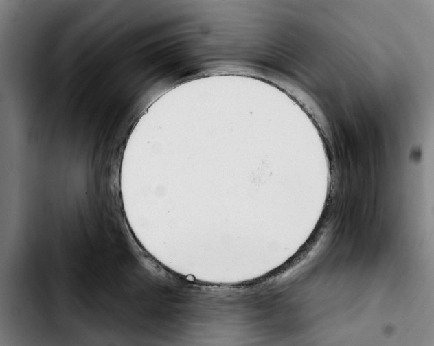 X0000103440905200810241118