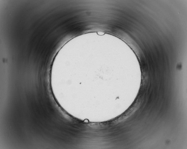 X0000103440906200810241118
